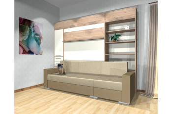 Шкаф-кровать с диваном Каролина в Жуланке - zhulanka.mebel54.com | фото